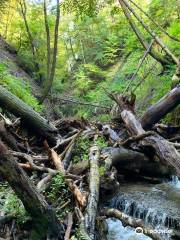 Eternal Flame Falls