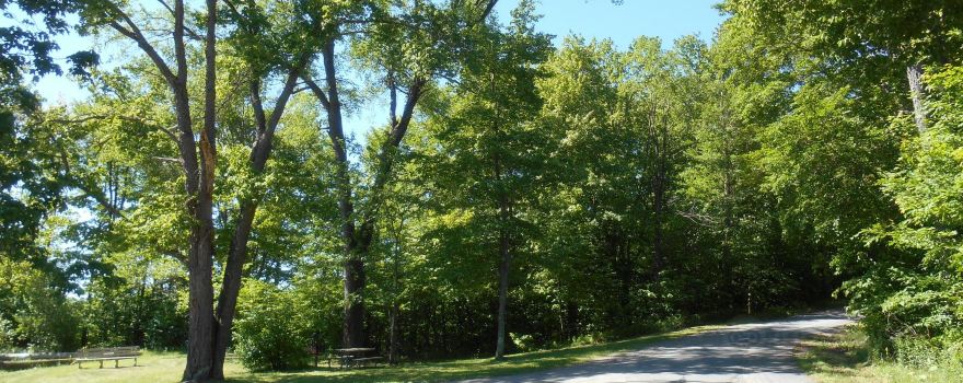 Gouldsboro State Park