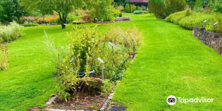 Apothekergarten Wiesbaden