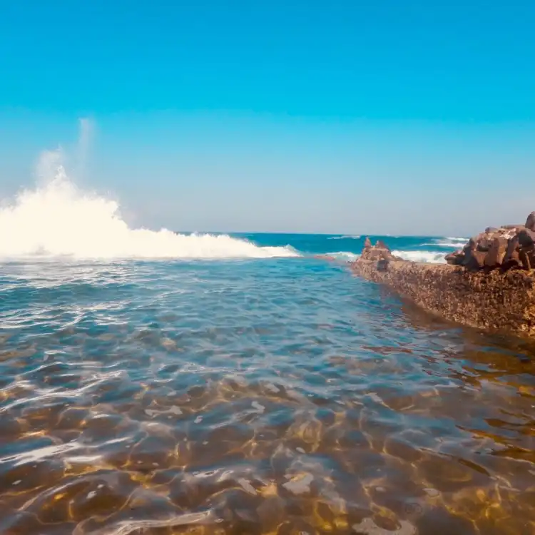 Dolphin Coast