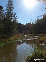 Melvin L Wetland Center