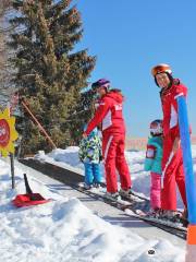 Skischule Rot Weiß Rot Alpendorf 2