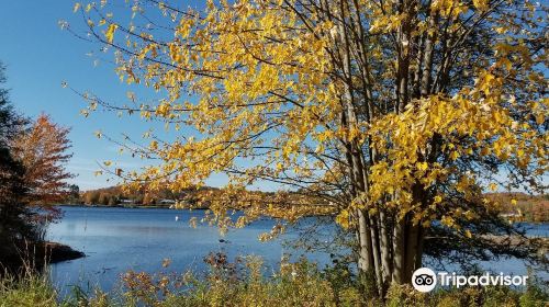 Haliburton Skyline Park