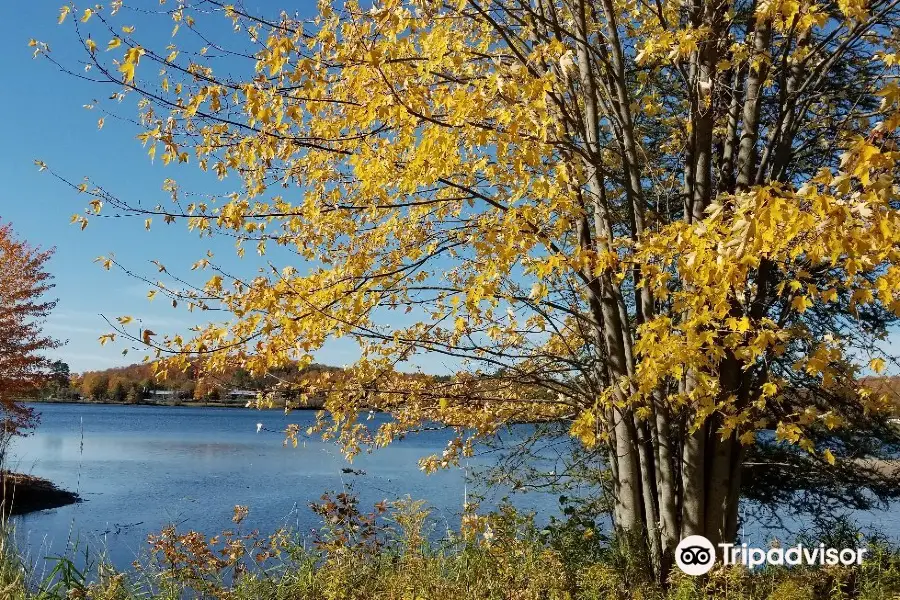 Haliburton Skyline Park