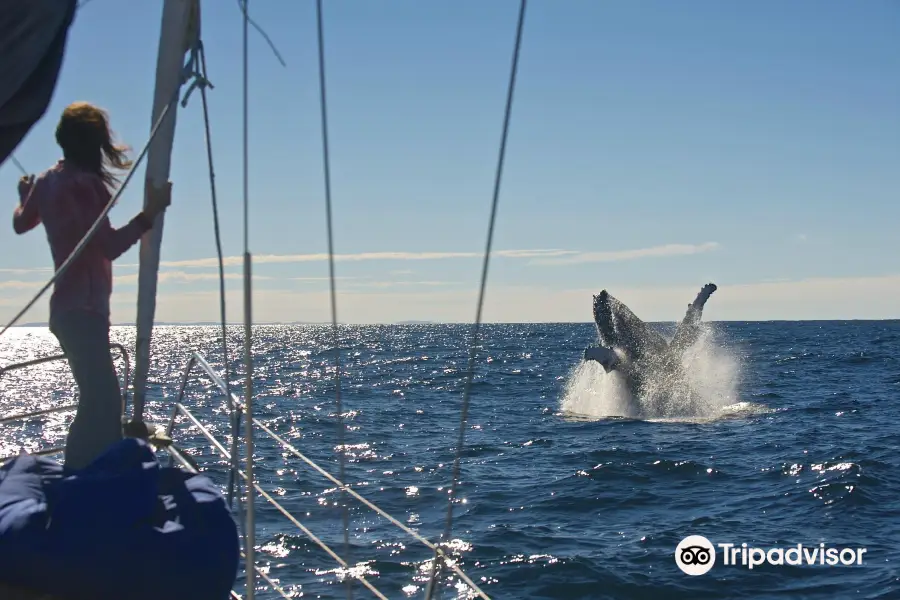 Getaway Sailing on the Gold Coast