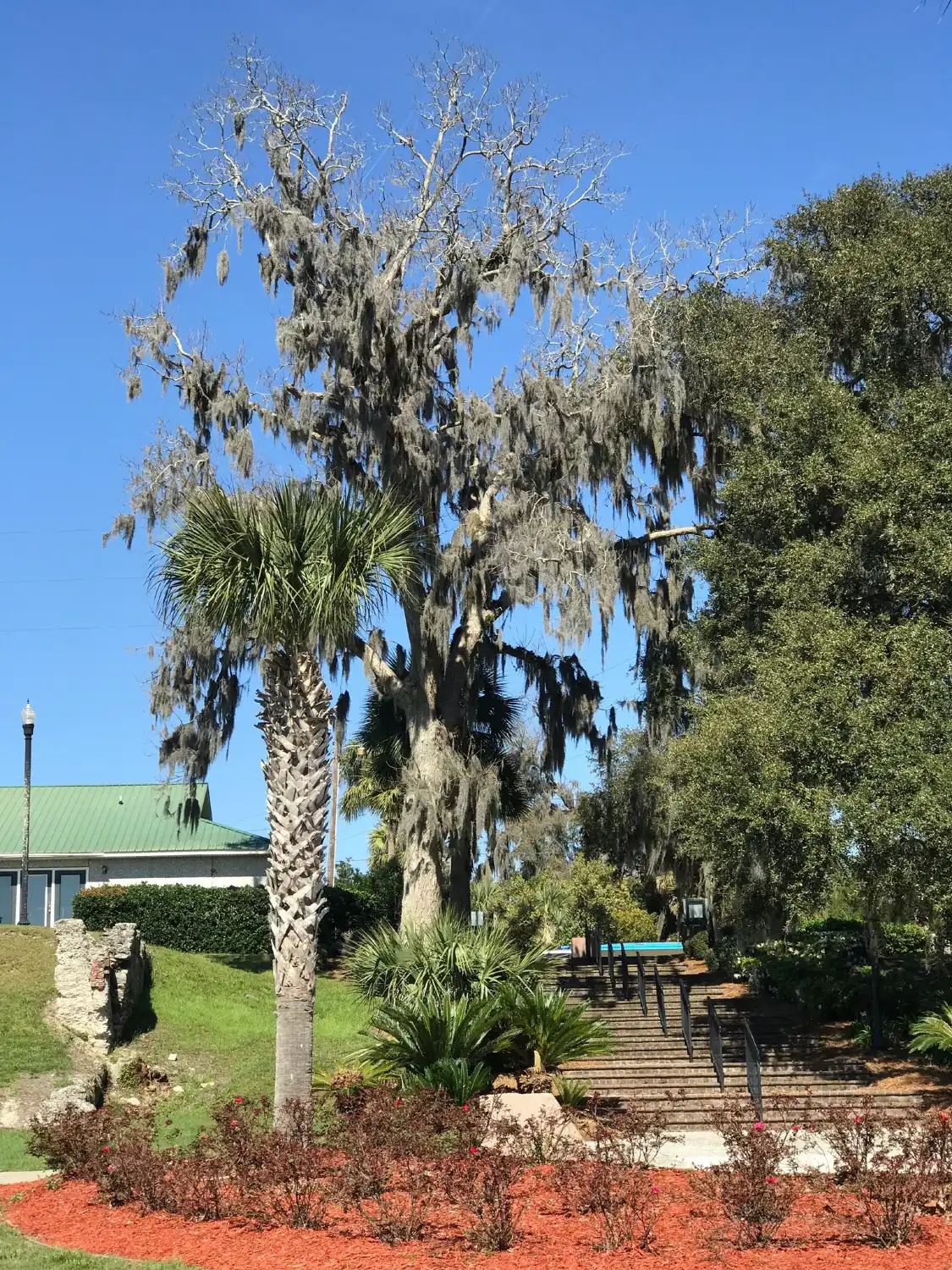 Waterfront Park附近的飯店