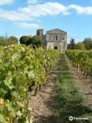 Vignoble Chauraud Pineau Cognac Vin