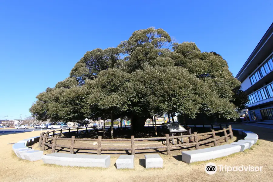 Sudagi Park