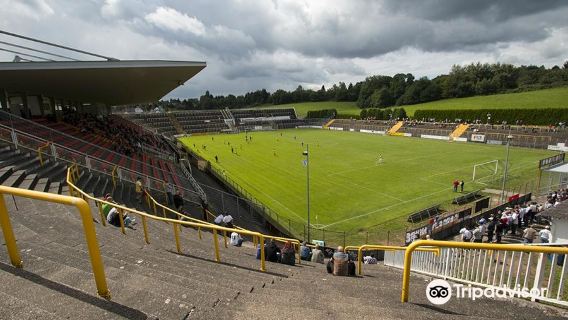 Ellenfeldstadion