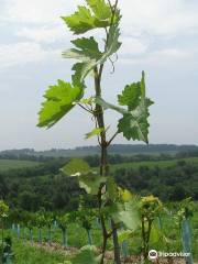 Weathered Vineyards & Winery