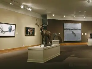 National Museum of Wildlife Art