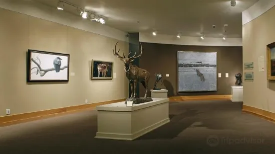 Национальный музей искусства дикой природы