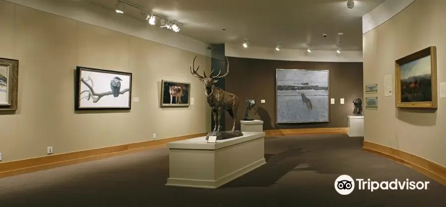 National Museum of Wildlife Art