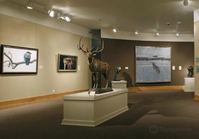 National Museum of Wildlife Art