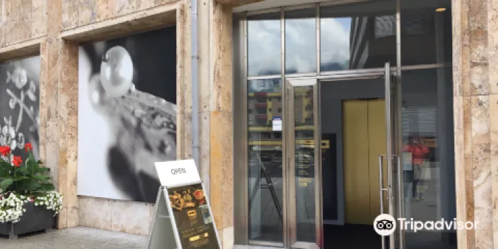 SCHATZKAMMER LIECHTENSTEIN (Treasure Chamber)