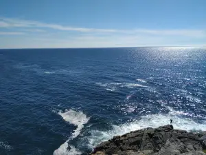 Castro de Barona