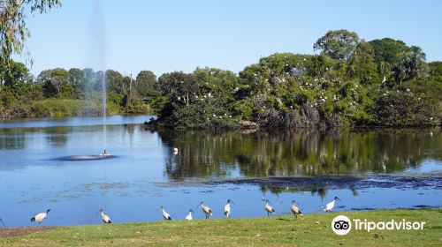 Anzac Park and Ululah Lagoon