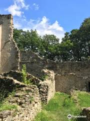 Ruins of the Pauline Monastery