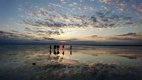 Niedersaechsisches Wattenmeer National Park