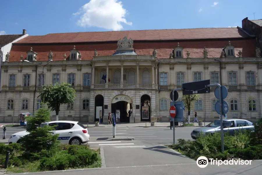 Cluj-Napoca Art Museum