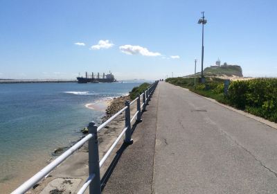 Nobbys Head and Breakwall