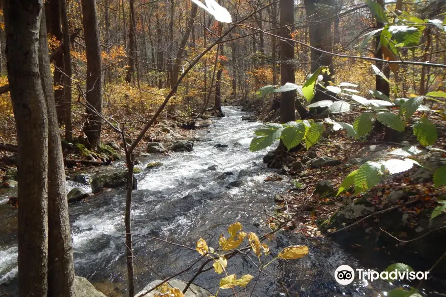 Little Devil's Stairs Trail