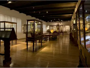 Museo Masso