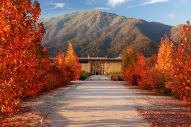 Colchagua