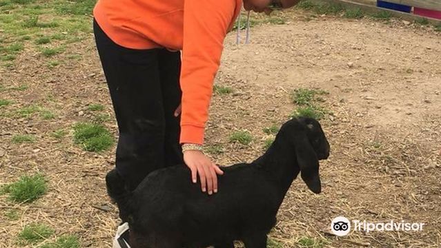 Suffolk County Farm and Education Center