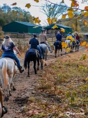 Whispering Woods Riding Stables