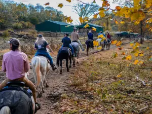 Whispering Woods Riding Stables