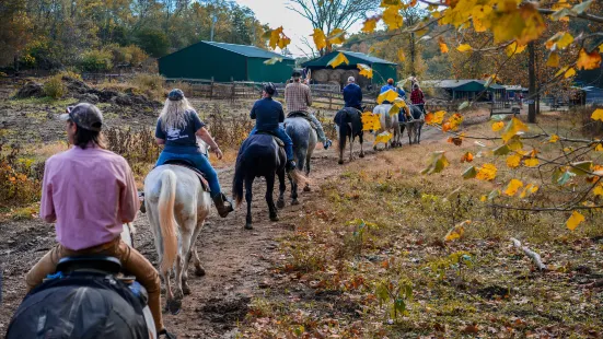 Whispering Woods Riding Stables