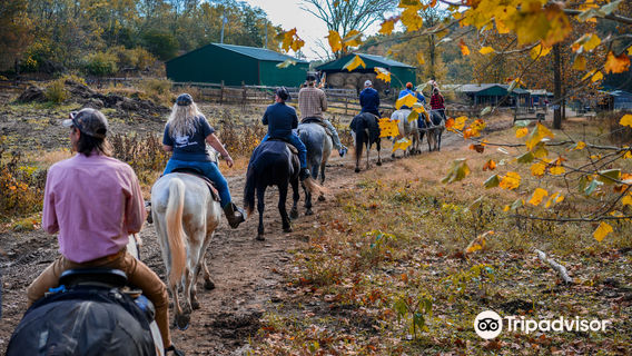 Whispering Woods Riding Stables