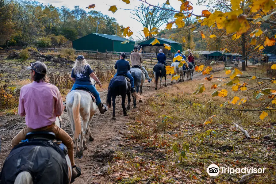 Whispering Woods Riding Stables