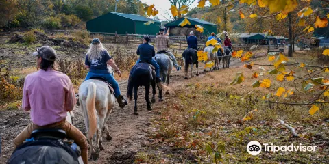 Whispering Woods Riding Stables