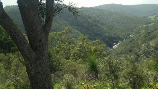 Baldwins Bluff Trail