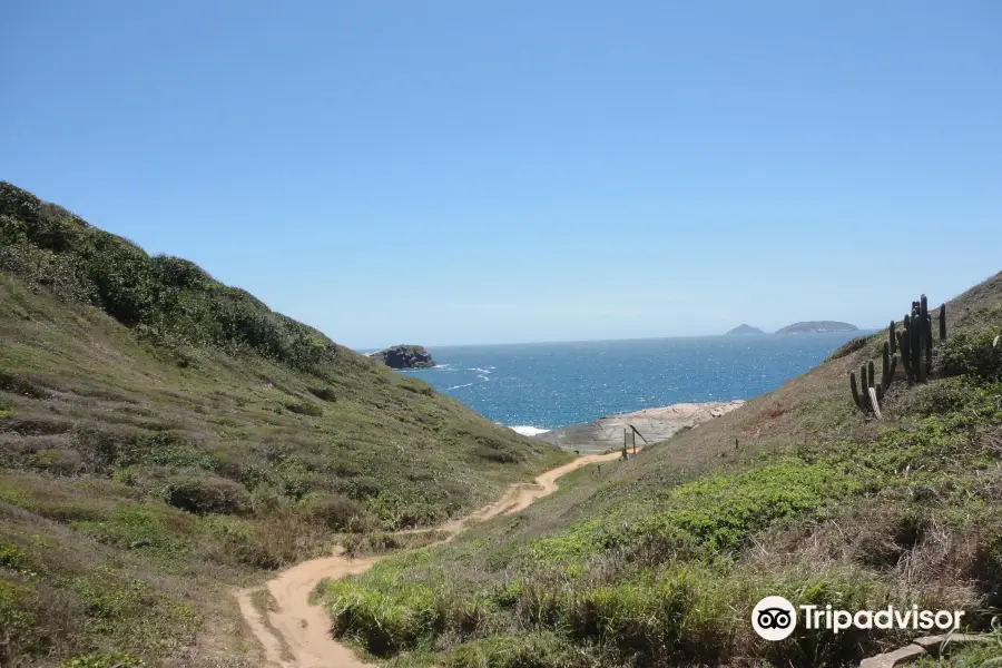 Lagoinha Beach