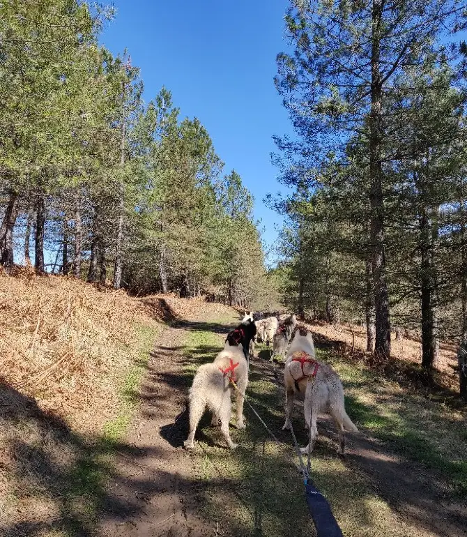 Saint-Martin-de-Caralp