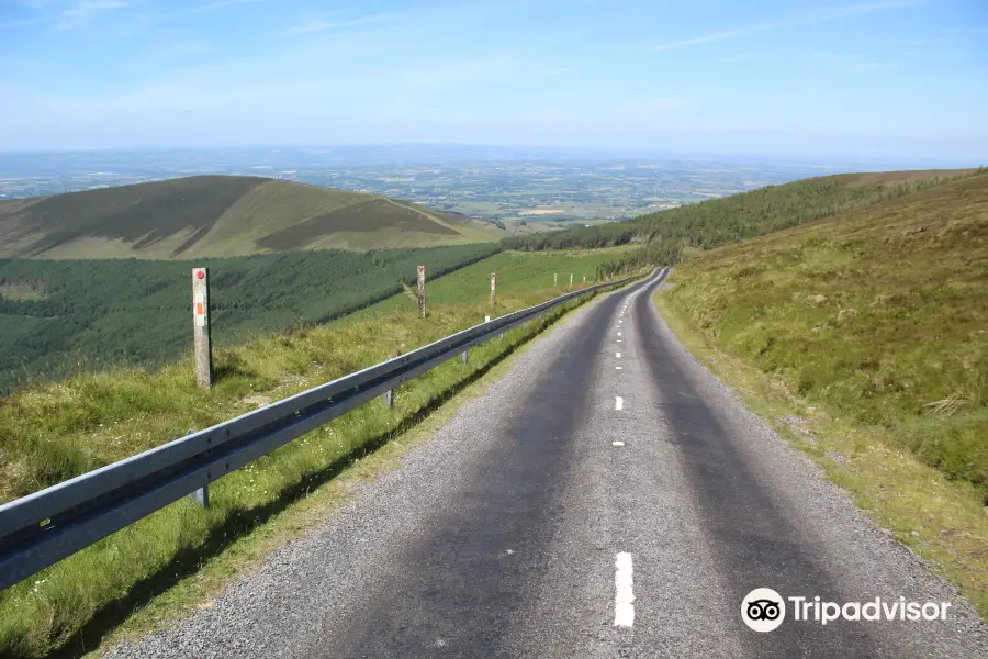 Mount Leinster