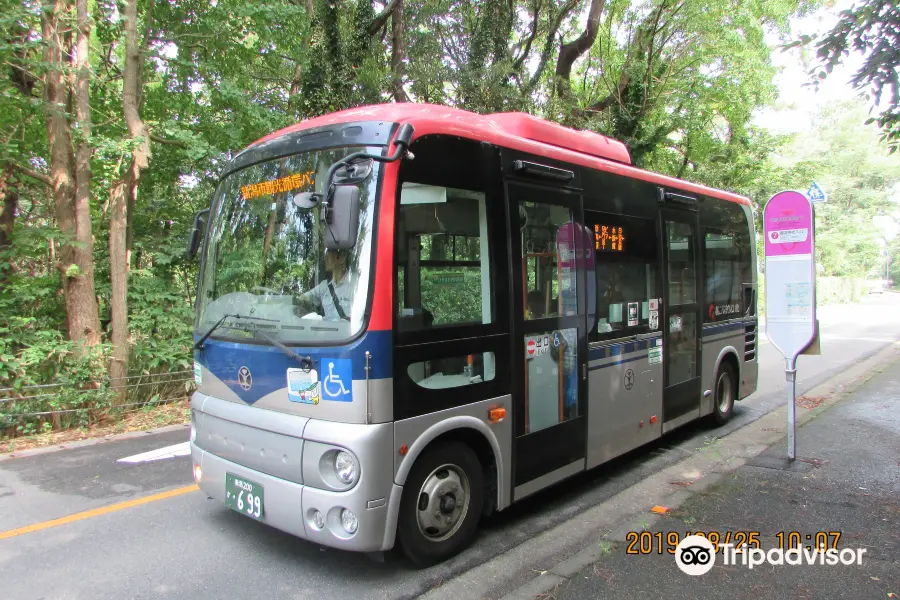 Niigata City Loop Bus
