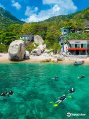 Calypso Diving Koh Tao