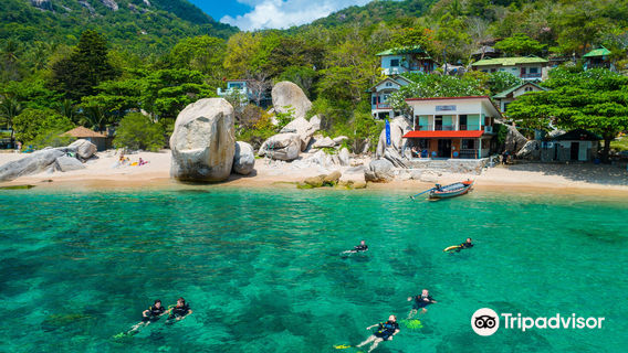 Calypso Diving Koh Tao