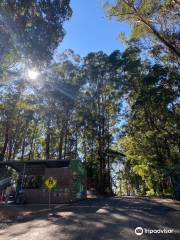 TreeTops Coffs Harbour