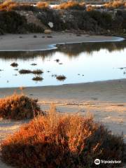 Parque Regional de las Salinas y Arenales de San Pedro del Pinatar