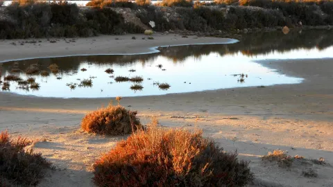Murcia travel destination