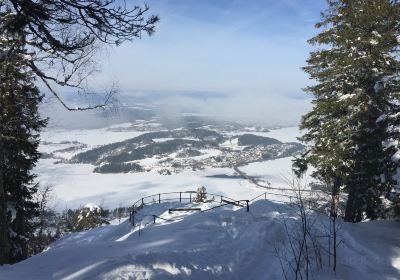 Krokkleiva