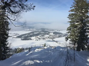 Krokkleiva