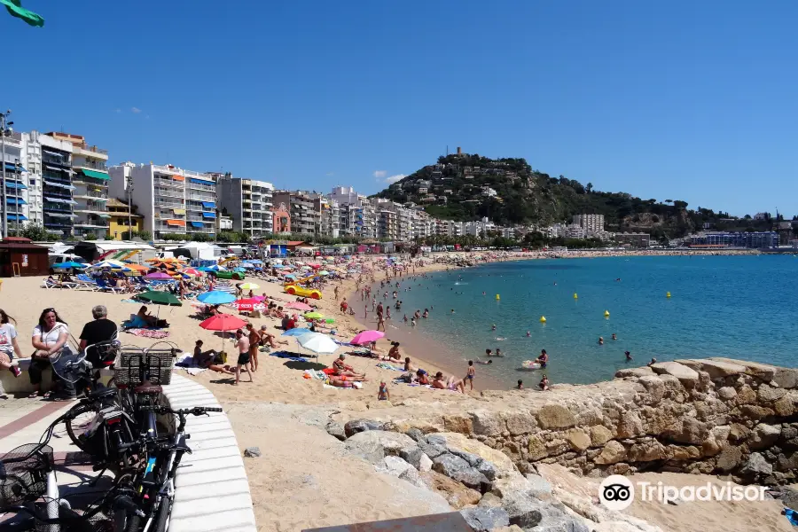 Platja de Blanes