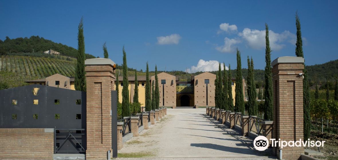 Things to Do in Ficulle in 2025 Top Attractions, Local Food, Hotels