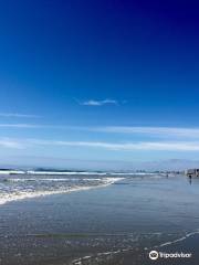 Cherry Grove Beach